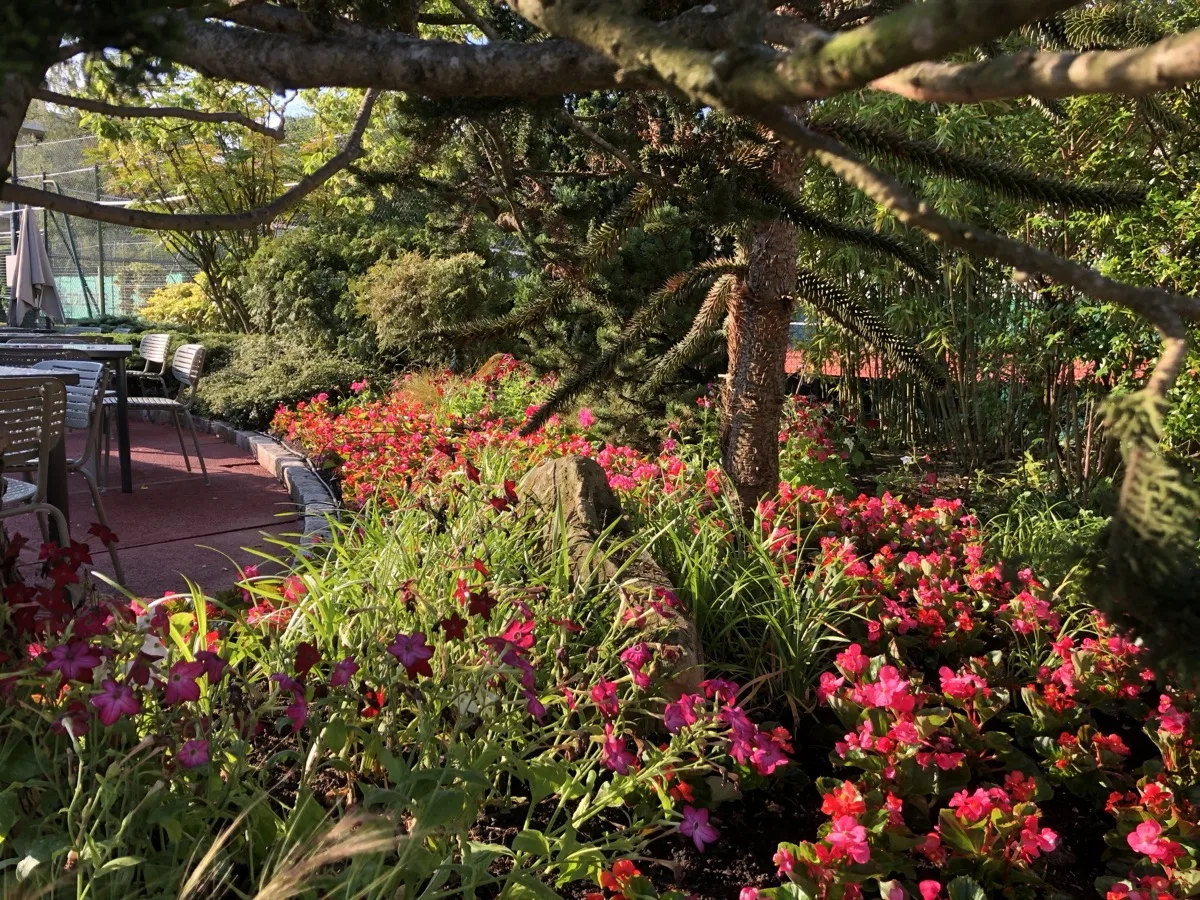 Jardinier paysagiste Asnières-sur-Seine