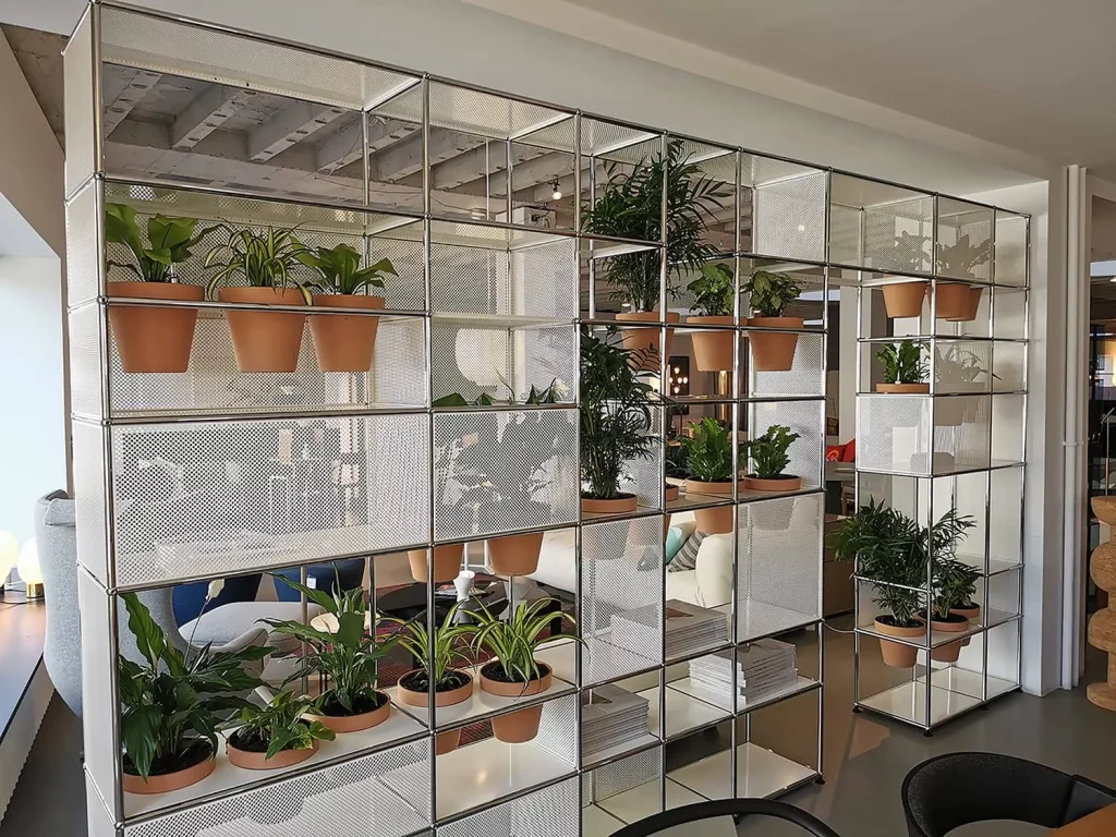 Plantes vertes au bureau, végétalisation intérieure professionnelle